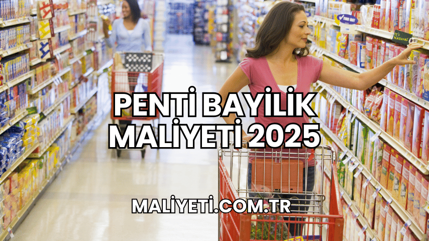 Penti Bayilik Maliyeti 2025