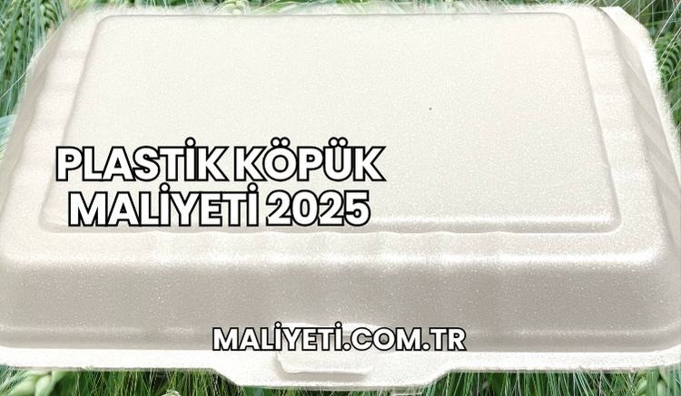 Plastik Köpük Maliyeti 2025