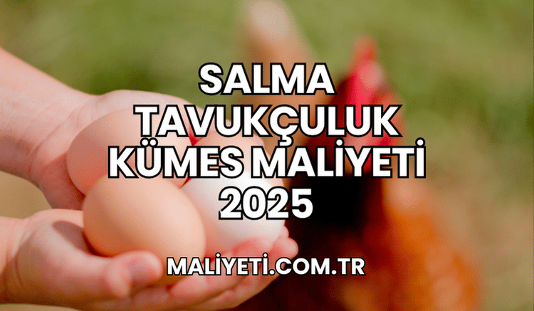 Salma Tavukçuluk Kümes Maliyeti 2025