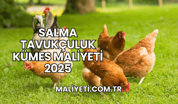 Salma Tavukçuluk Kümes Maliyeti 2025