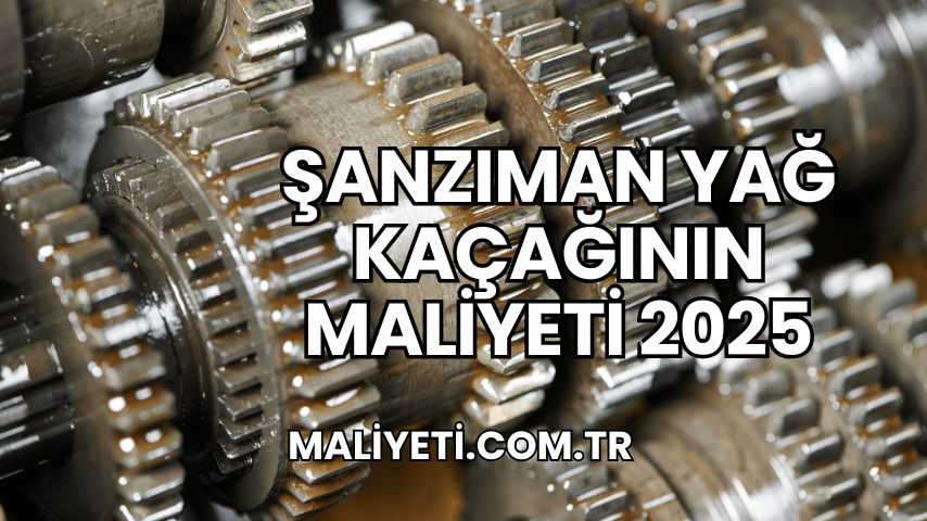 Şanzıman Yağ Kaçağının Maliyeti 2025