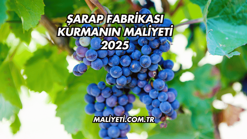 Şarap Fabrikası Kurmanın Maliyeti 2025