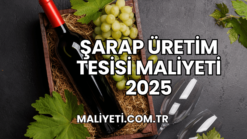 Şarap Üretim Tesisi Maliyeti 2025