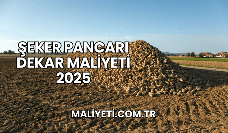 Şeker Pancarı Dekar Maliyeti 2025