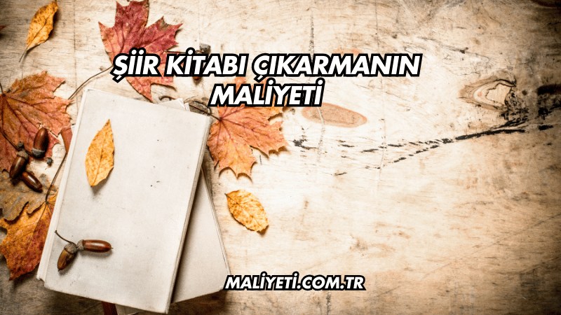 Şiir Kitabı Çıkarmanın Maliyeti