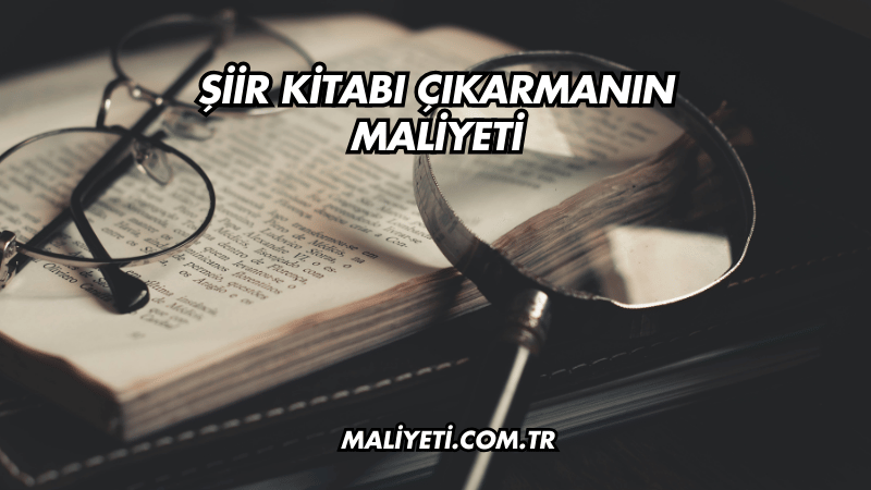 Şiir Kitabı Çıkarmanın Maliyeti