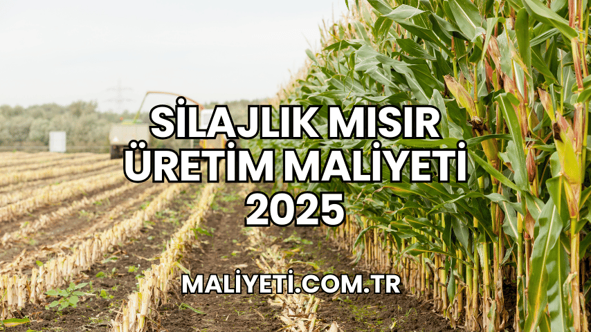 Silajlık Mısır Üretim Maliyeti 2025