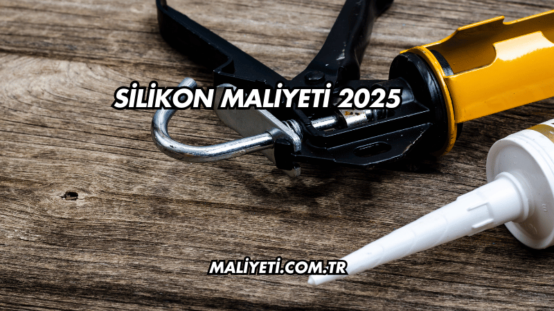 Silikon Maliyeti 2025