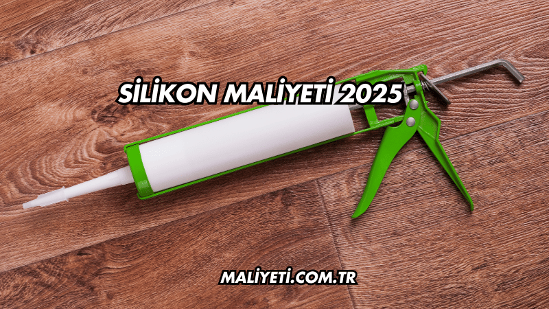 Silikon Maliyeti 2025