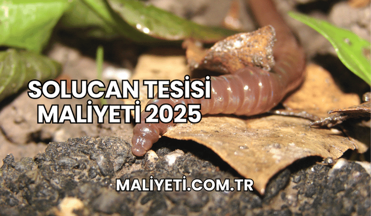 Solucan Tesisi Maliyeti 2025