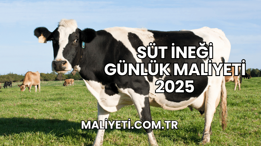 Süt İneği Günlük Maliyeti 2025