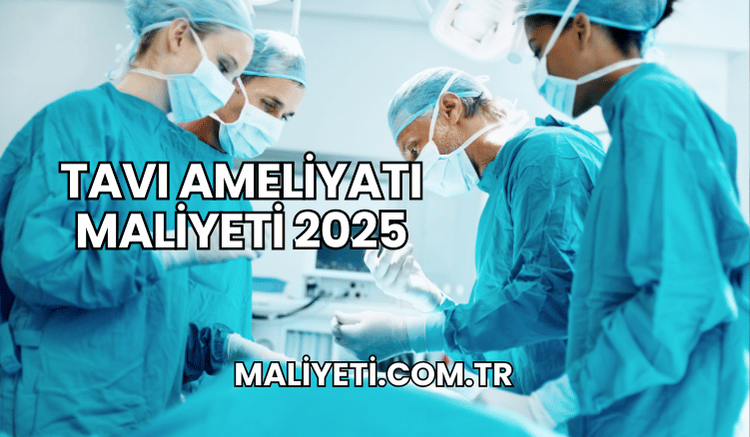 TAVI Ameliyatı Maliyeti 2025