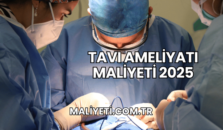 TAVI Ameliyatı Maliyeti 2025