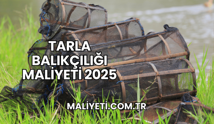 Tarla Balıkçılığı Maliyeti 2025