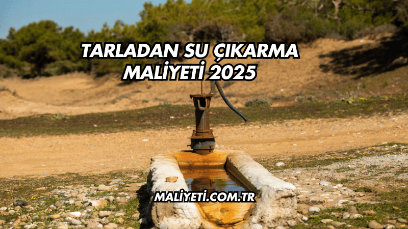 Tarladan Su Çıkarma Maliyeti 2025