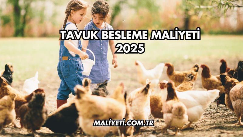 Tavuk Besleme Maliyeti 2025