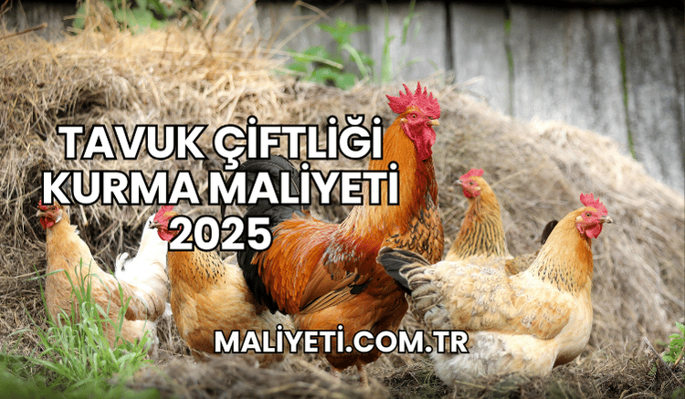 Tavuk Çiftliği Kurma Maliyeti 2025