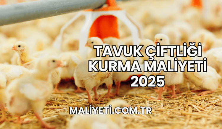 Tavuk Çiftliği Kurma Maliyeti 2025