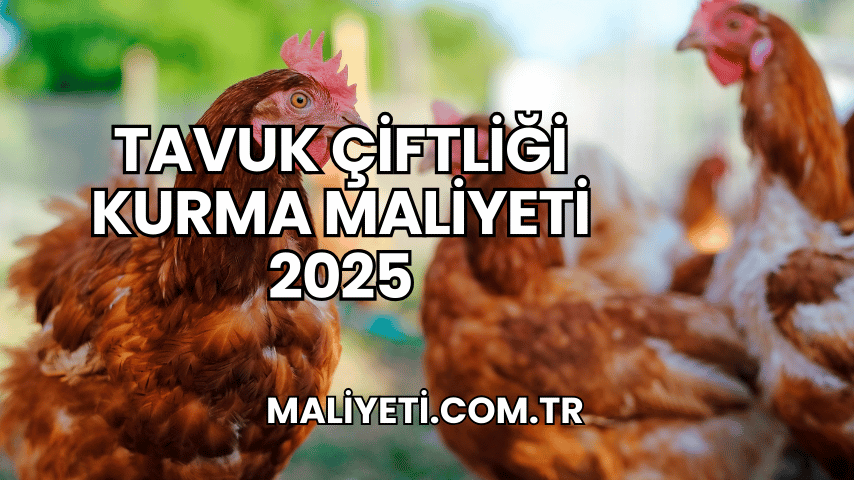 Tavuk Çiftliği Kurma Maliyeti 2025