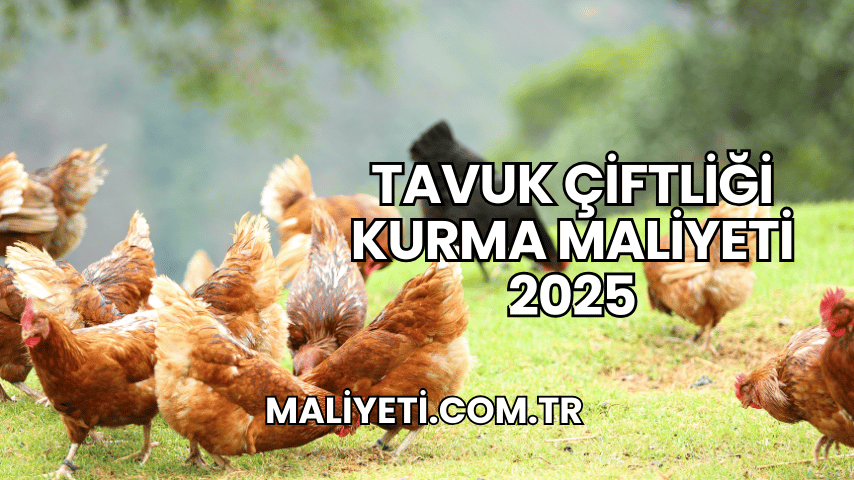 Tavuk Çiftliği Kurma Maliyeti 2025