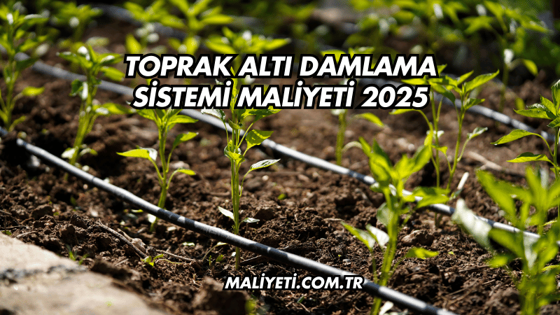 Toprak Altı Damlama Sistemi Maliyeti 2025