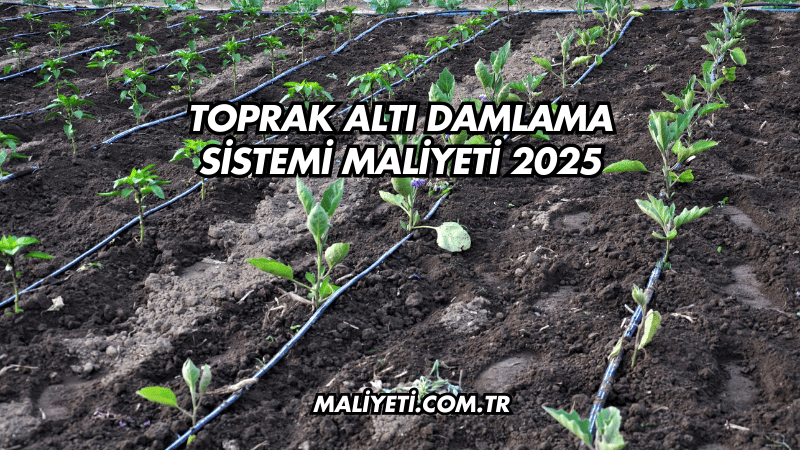 Toprak Altı Damlama Sistemi Maliyeti 2025