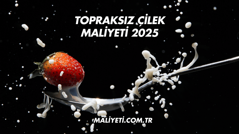 Topraksız Çilek Maliyeti 2025