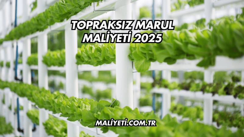 Topraksız Marul Maliyeti 2025