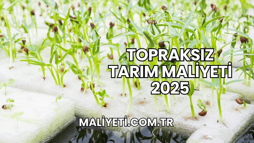 Topraksız Tarım Maliyeti 2025