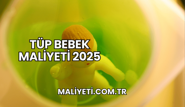 Tüp Bebek Maliyeti 2025