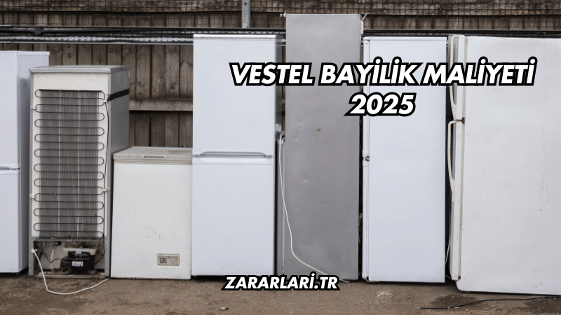 Vestel Bayilik Maliyeti 2025