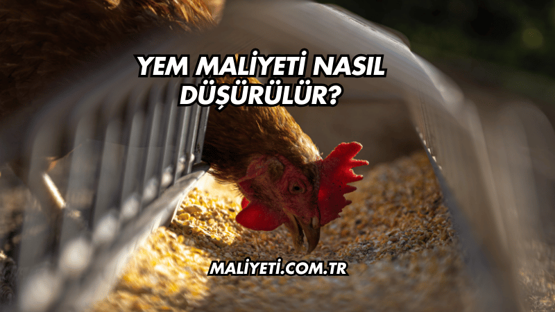 Yem Maliyeti Nasıl Düşürülür?