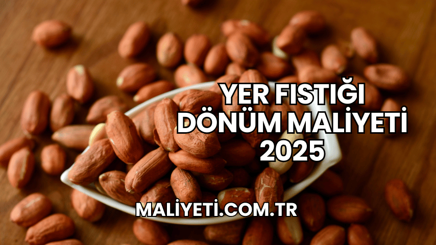 Yer Fıstığı Dönüm Maliyeti 2025