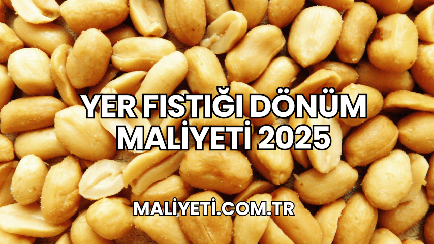 Yer Fıstığı Dönüm Maliyeti 2025