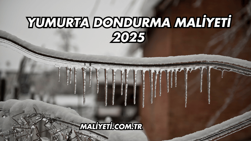 Yumurta Dondurma Maliyeti 2025