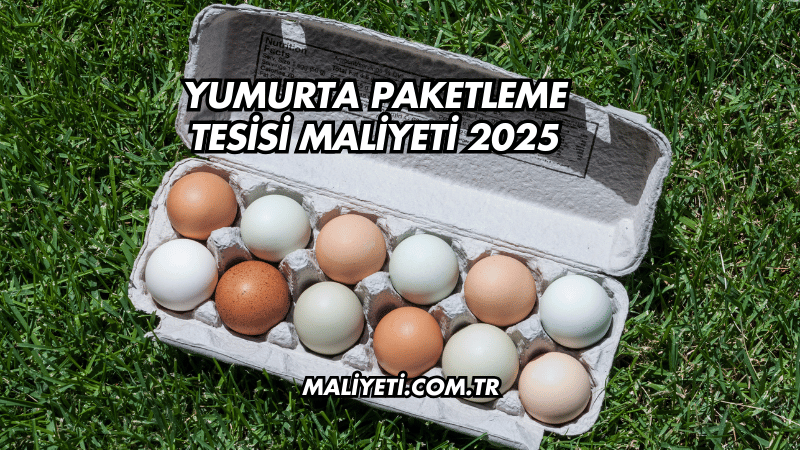 Yumurta Paketleme Tesisi Maliyeti 2025