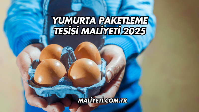 Yumurta Paketleme Tesisi Maliyeti 2025