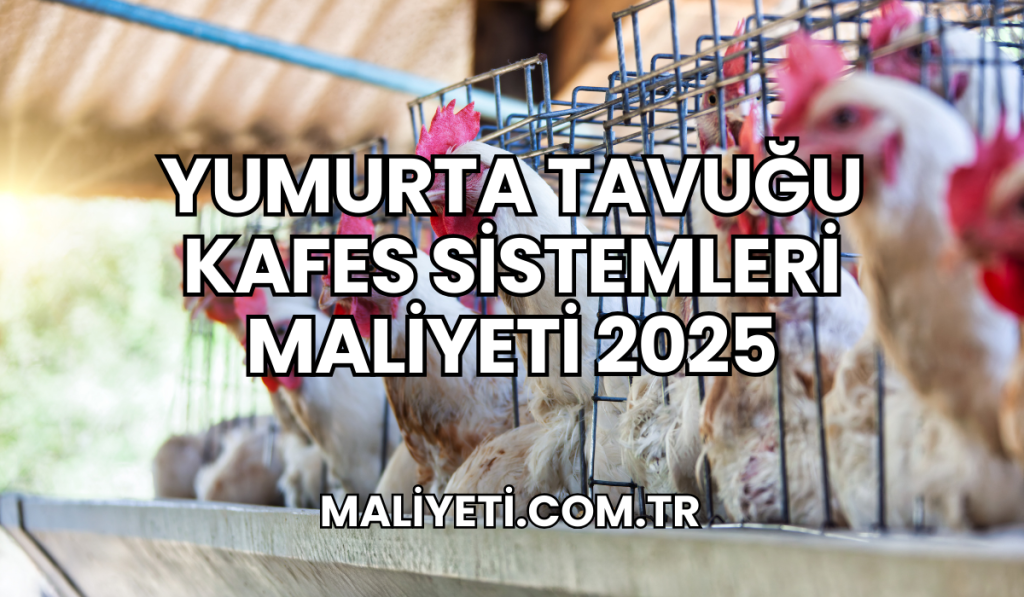 Yumurta Tavuğu Kafes Sistemleri Maliyeti 2025