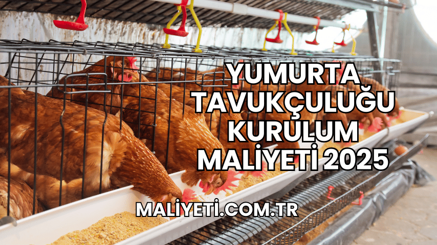 Yumurta Tavukçuluğu Kurulum Maliyeti 2025