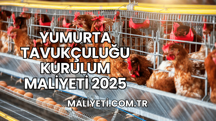 Yumurta Tavukçuluğu Kurulum Maliyeti 2025