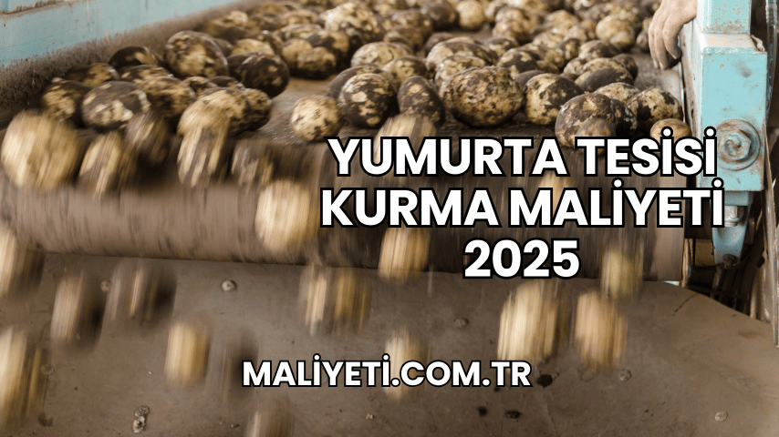 Yumurta Tesisi Kurma Maliyeti 2025