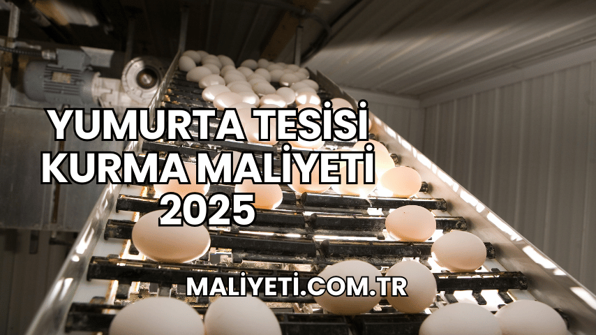 Yumurta Tesisi Kurma Maliyeti 2025