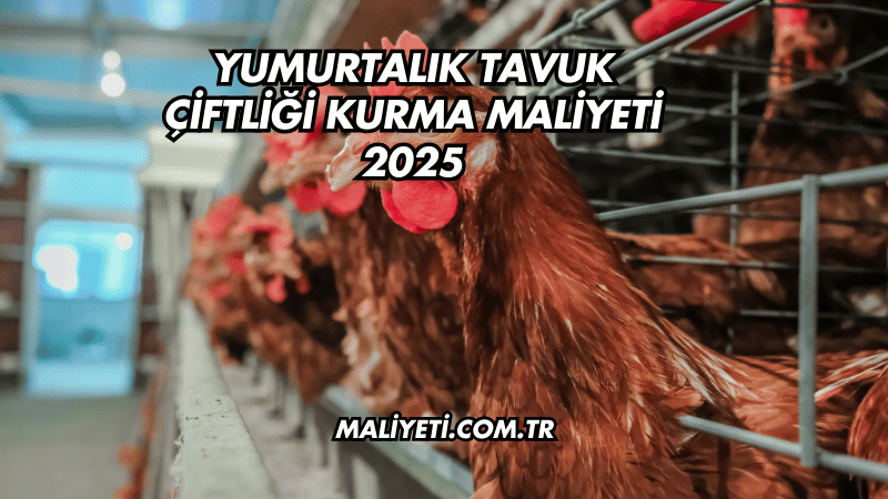 Yumurtalık Tavuk Çiftliği Kurma Maliyeti 2025