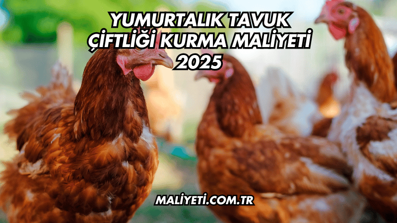 Yumurtalık Tavuk Çiftliği Kurma Maliyeti 2025