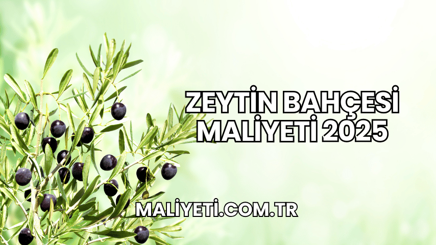 Zeytin Bahçesi Maliyeti 2025