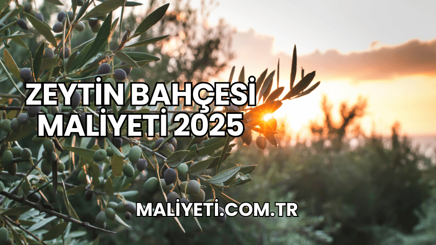 Zeytin Bahçesi Maliyeti 2025