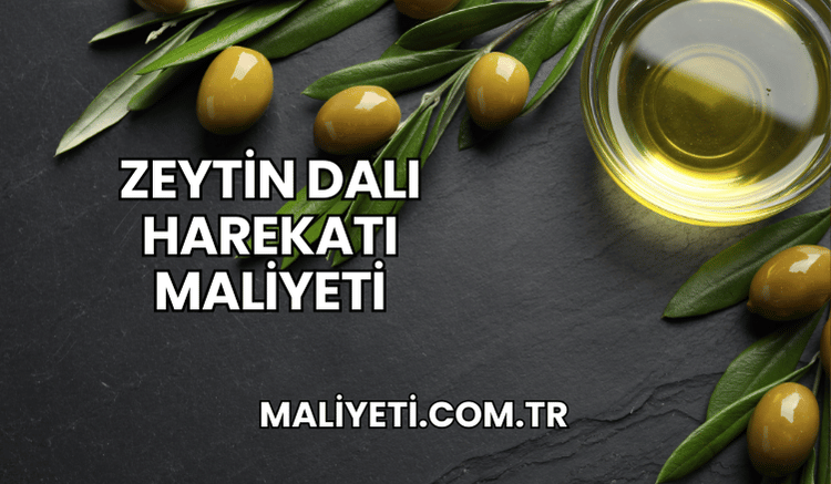 Zeytin Dalı Harekatı maliyeti