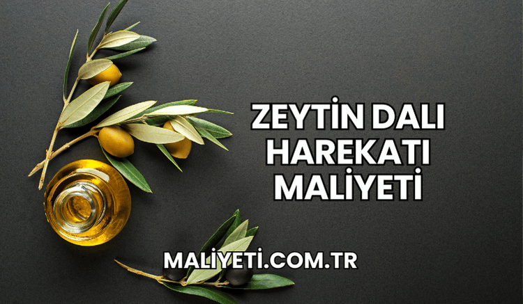 Zeytin Dalı Harekatı maliyeti