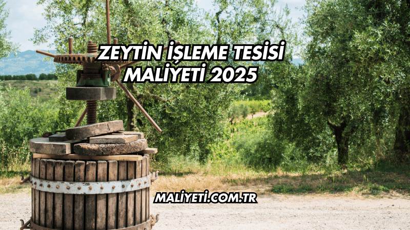 Zeytin İşleme Tesisi Maliyeti 2025