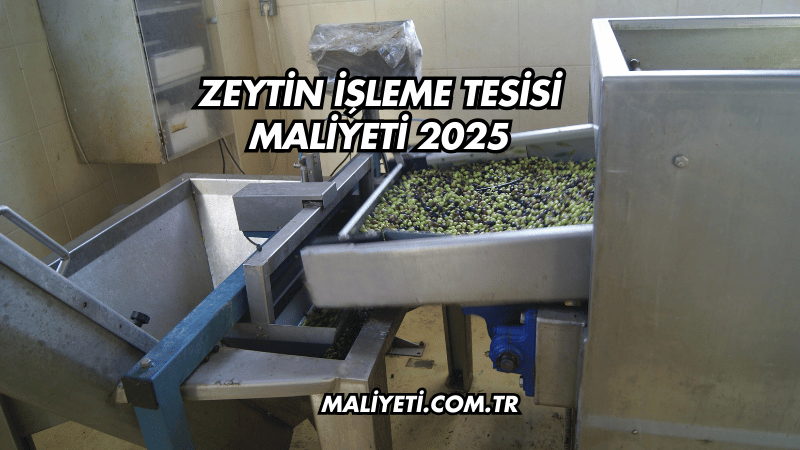 Zeytin İşleme Tesisi Maliyeti 2025